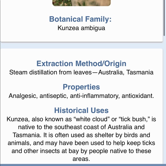 Young Living Kunzea essential oil NWT - Picture 2 of 3